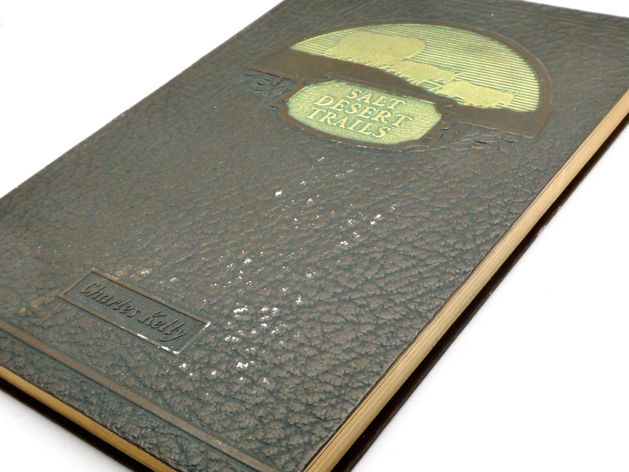 SALT DESERT TRAILS: A HISTORY OF THE HASTINGS CUTOFF  1930