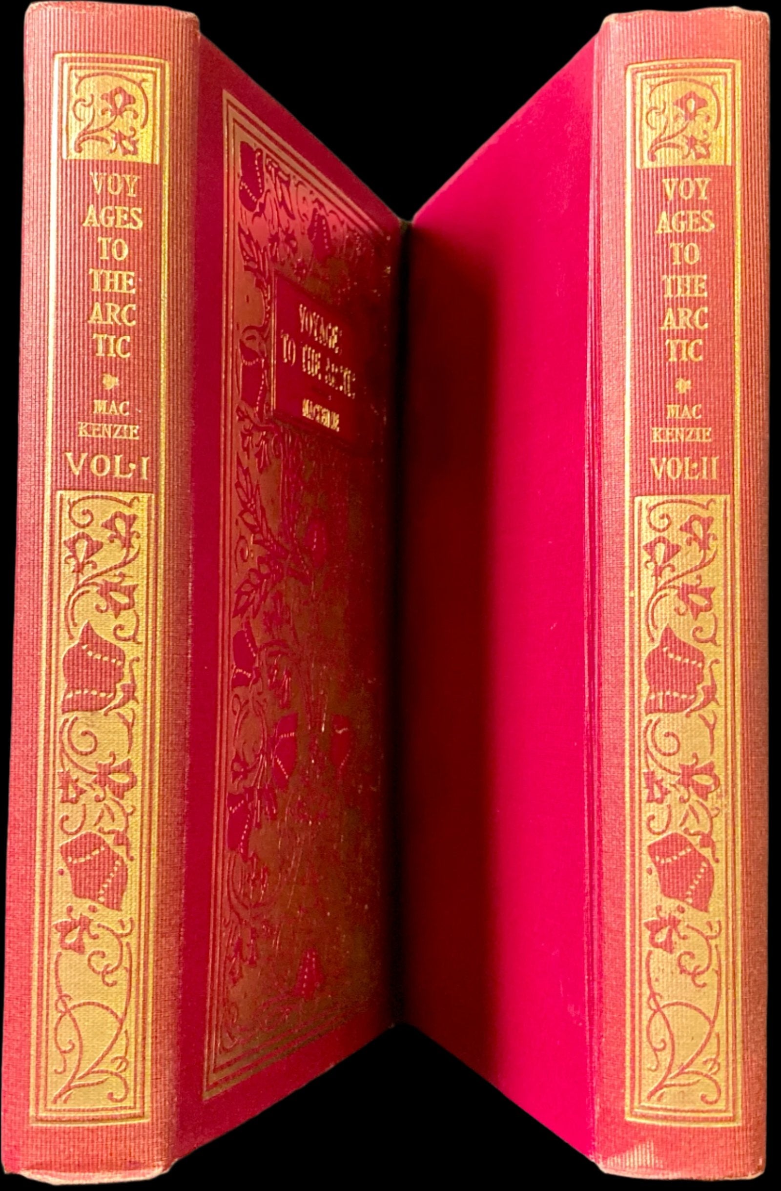 Voyages to the Arctic Mackenzie 1902