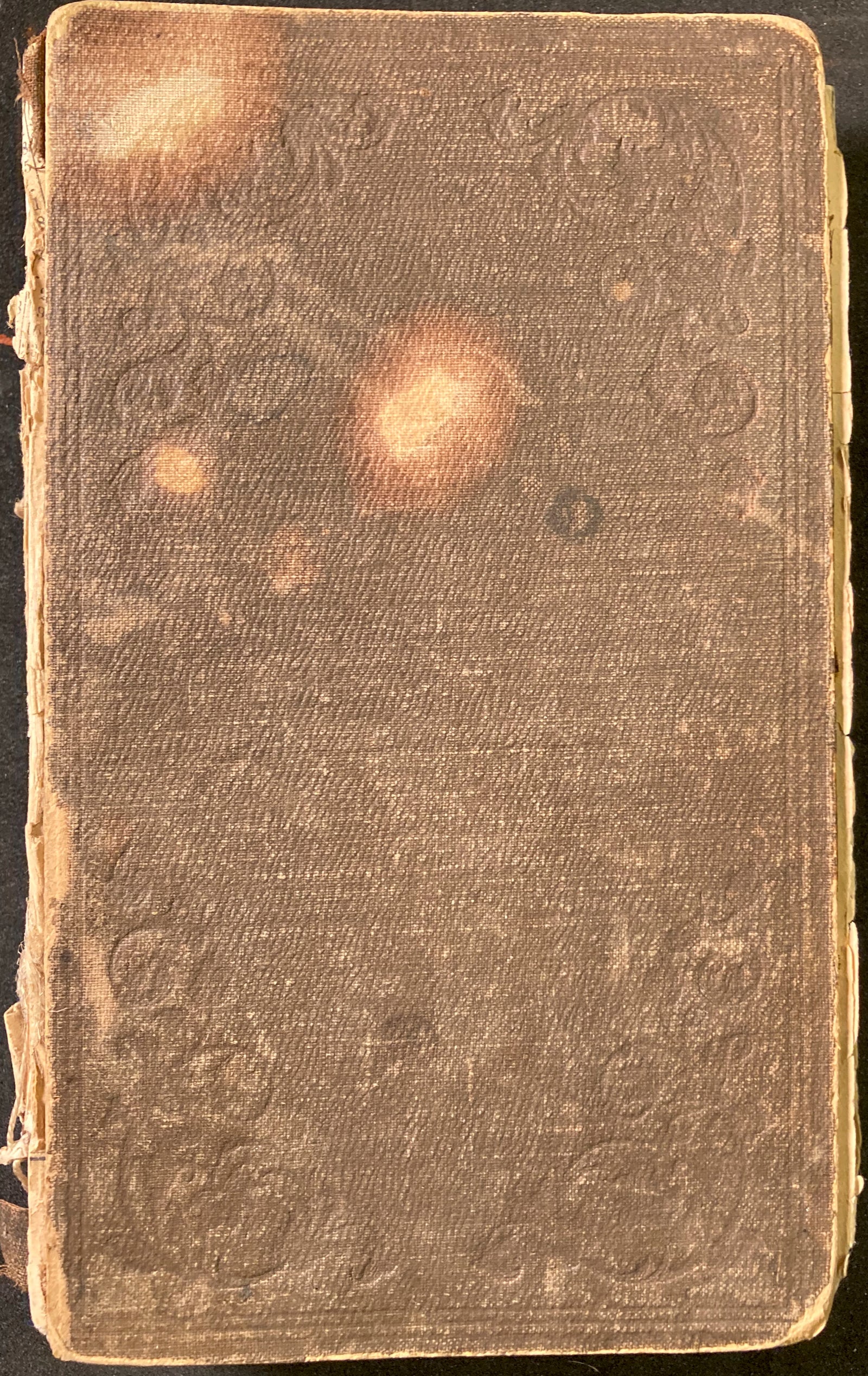 Captain Gray's company, or, Crossing the plains and living in Oregon. 1st Inscribed RARE