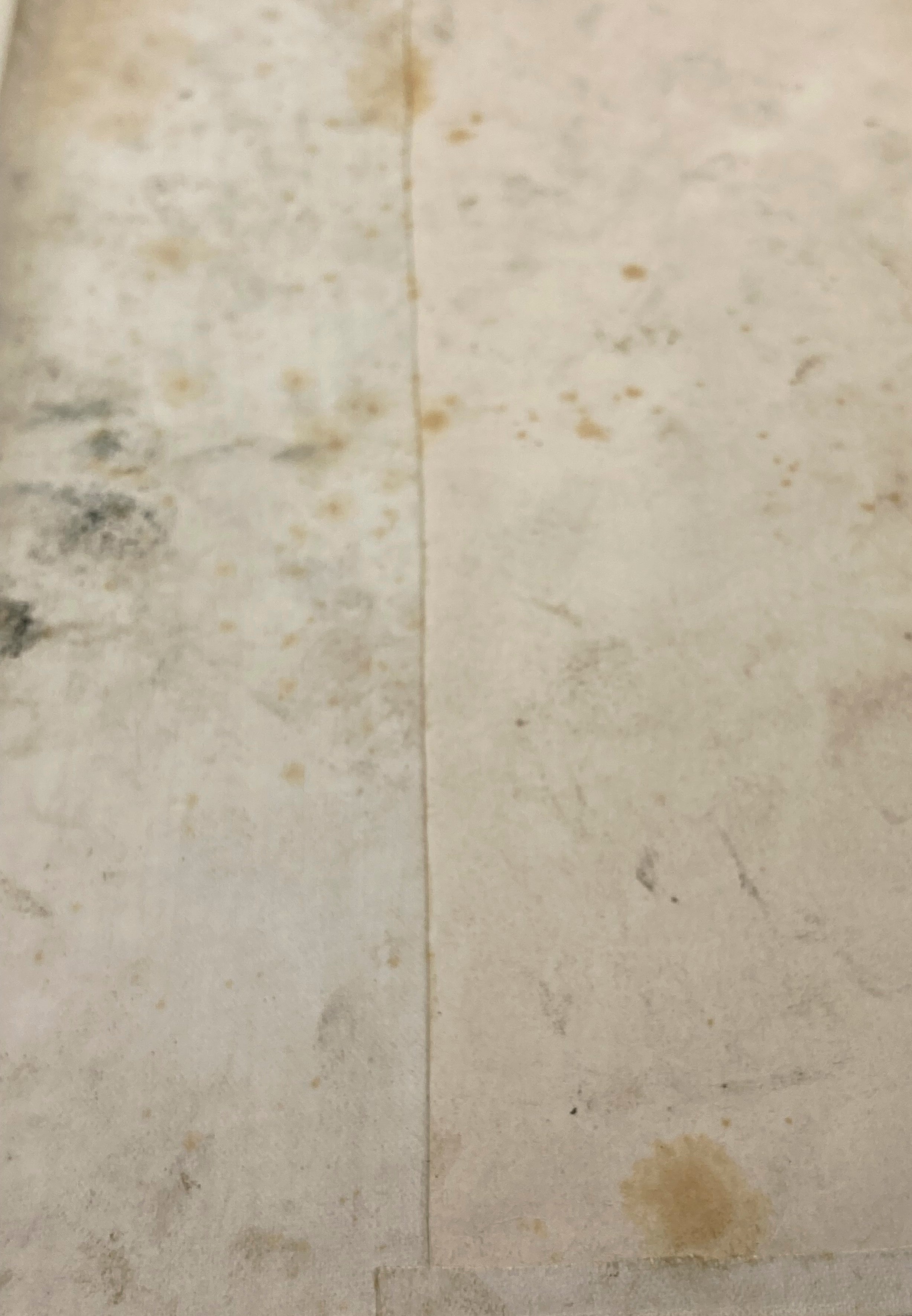 North American Indians George Catlin Being Letters and Notes...