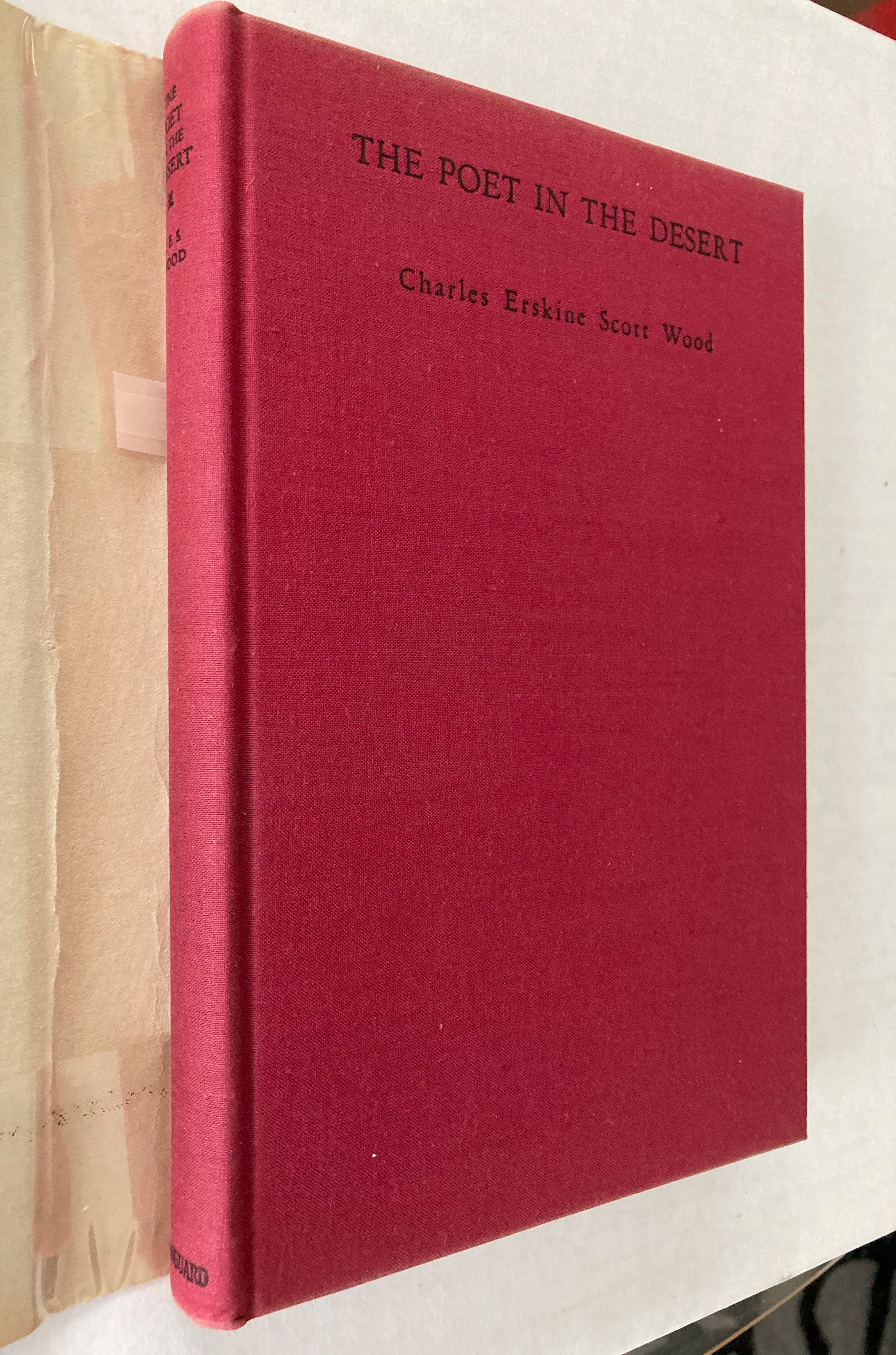 The Poet in the Desert 1929 C. E. S. Wood