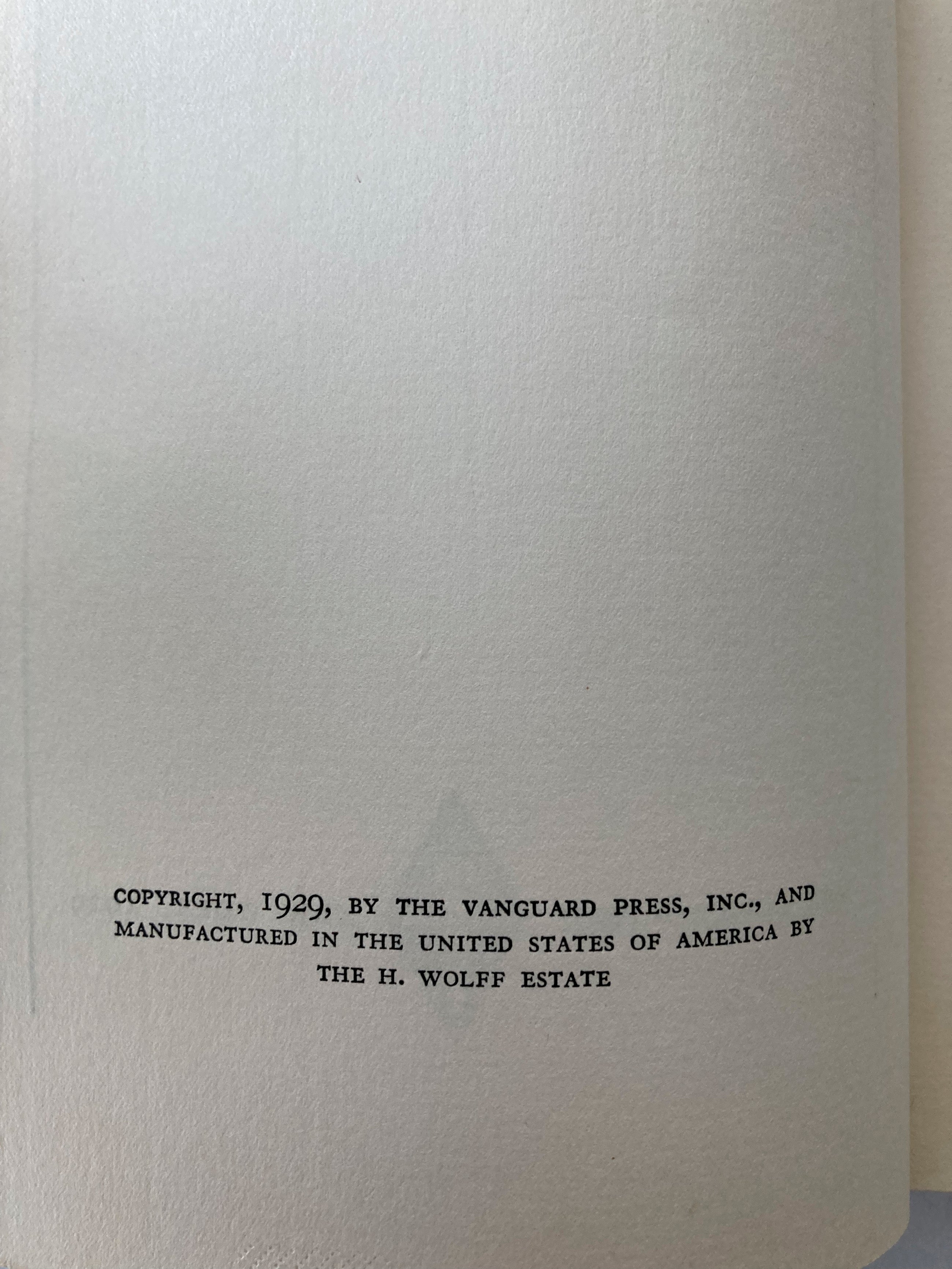 The Poet in the Desert 1929 C. E. S. Wood