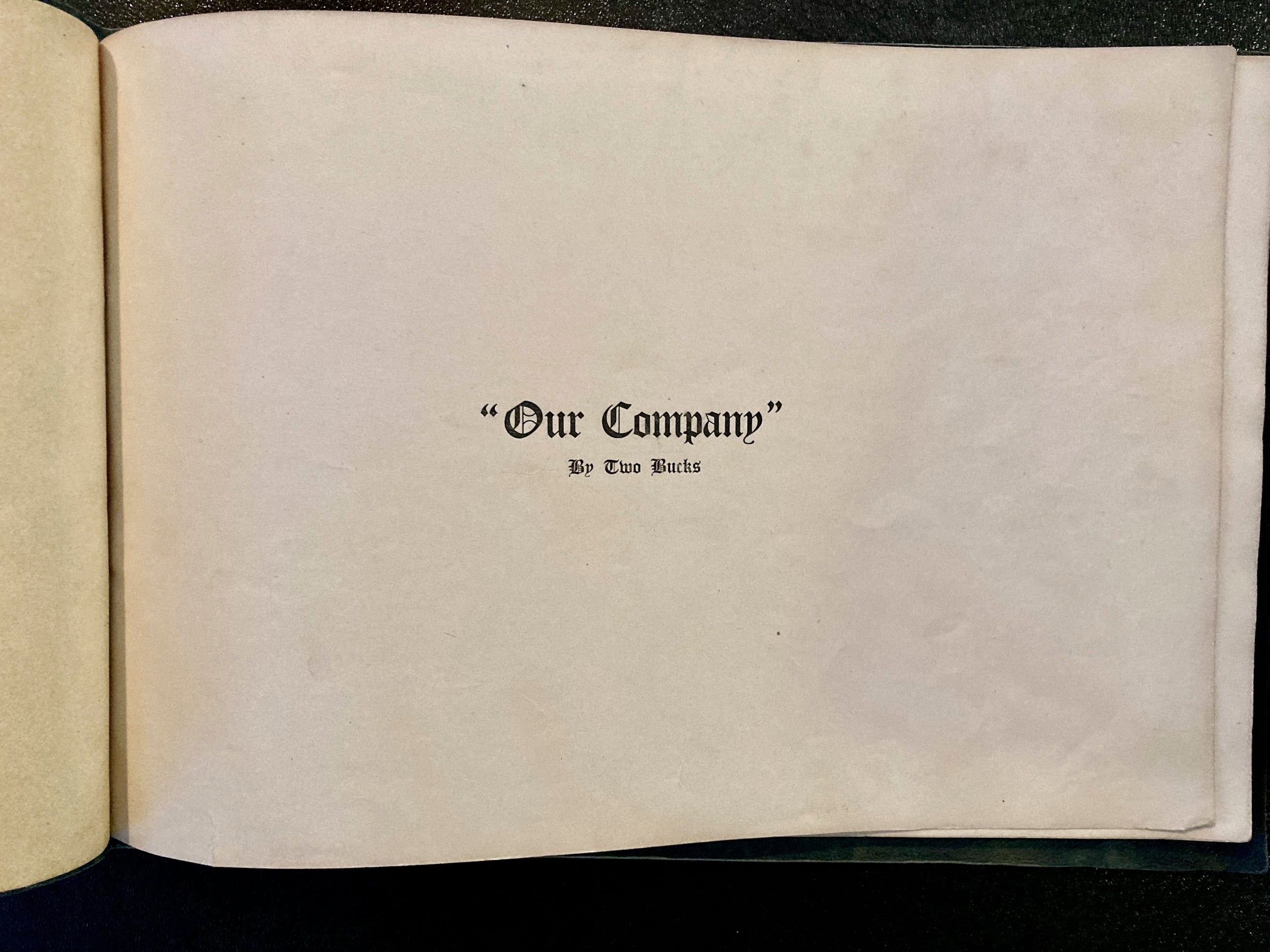 Our Company WW1 Booklet The Lost Battalion 1917-1919
