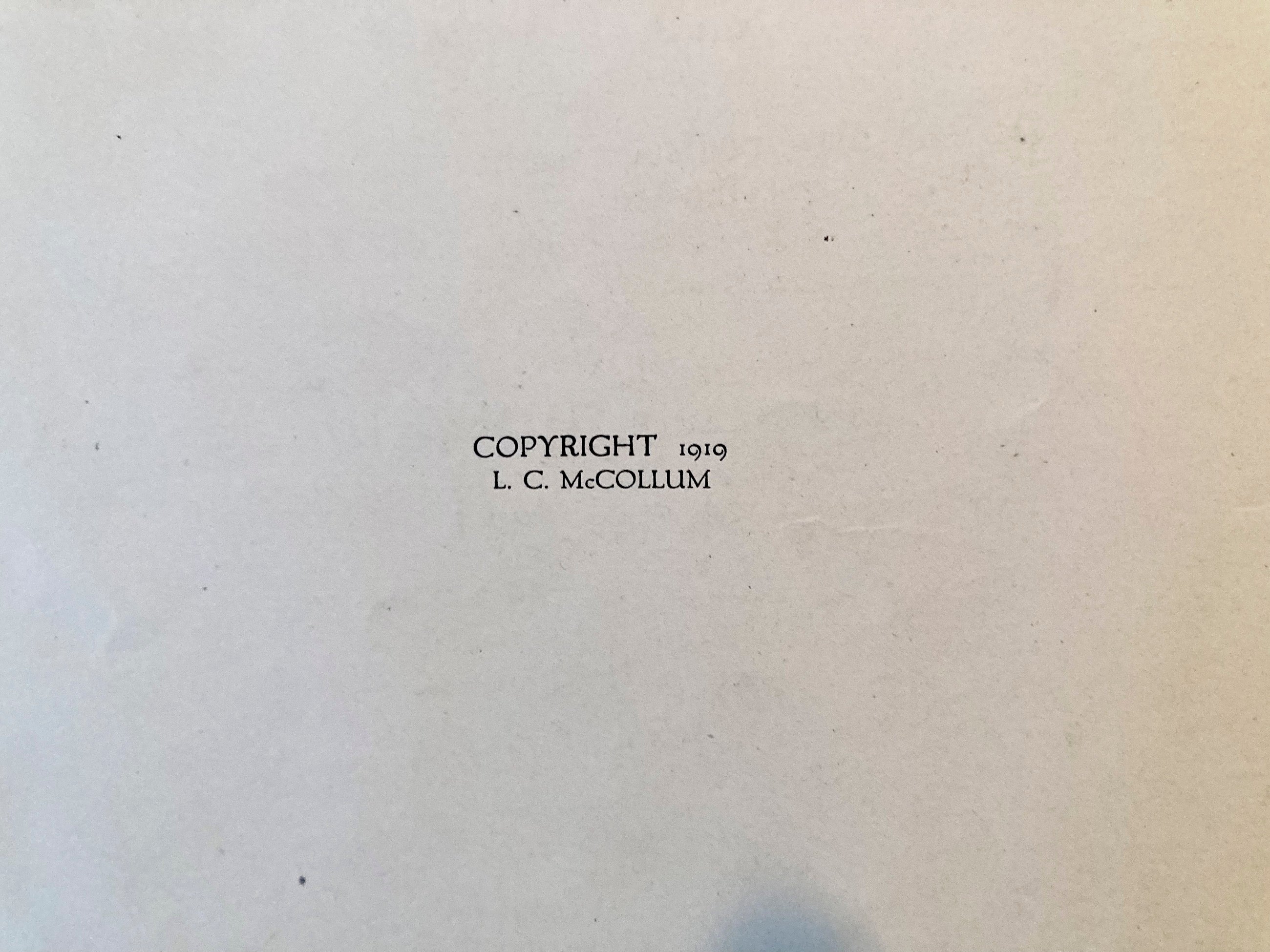 Our Company WW1 Booklet The Lost Battalion 1917-1919