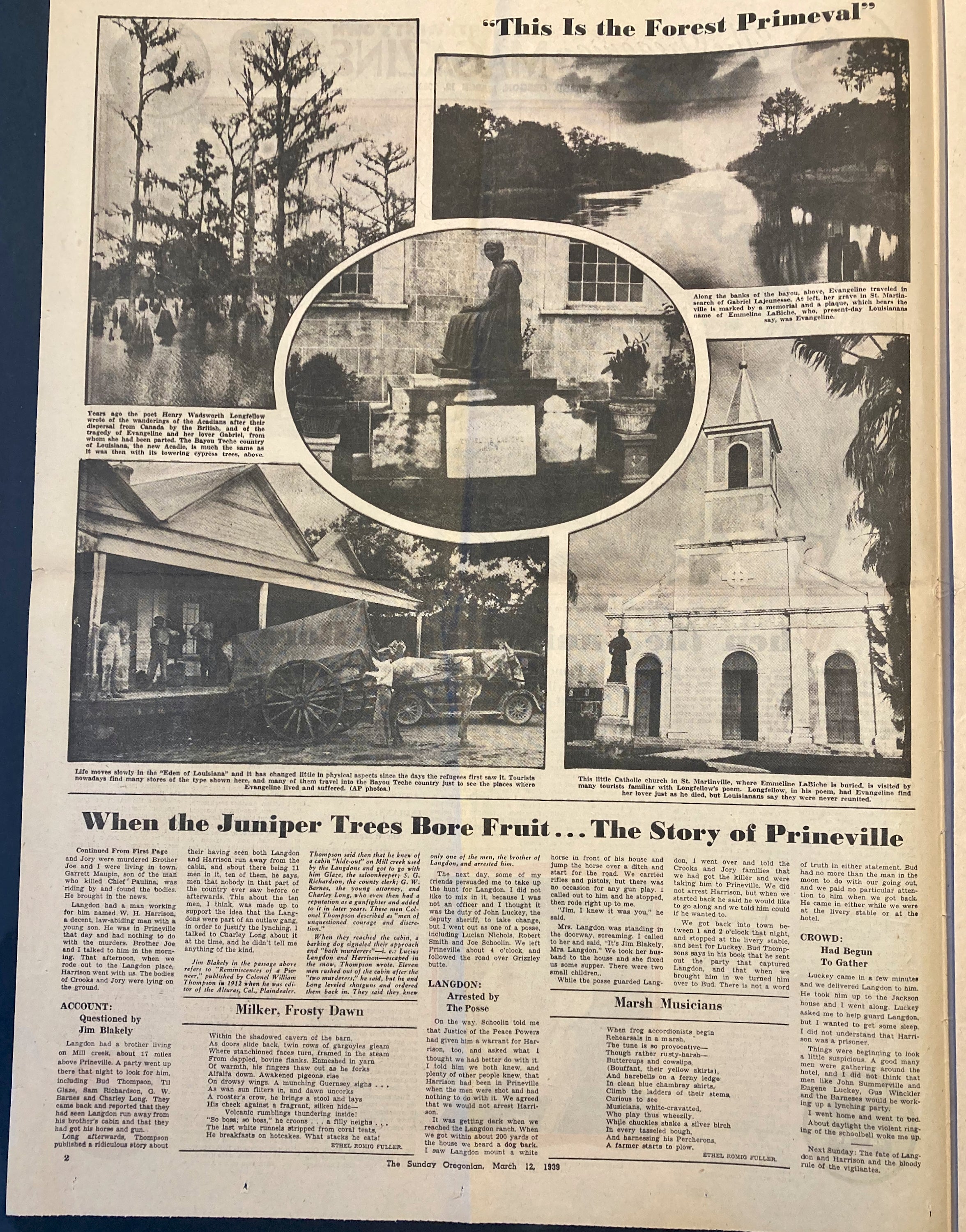 When The Juniper Trees Bore Fruit The Oregonian