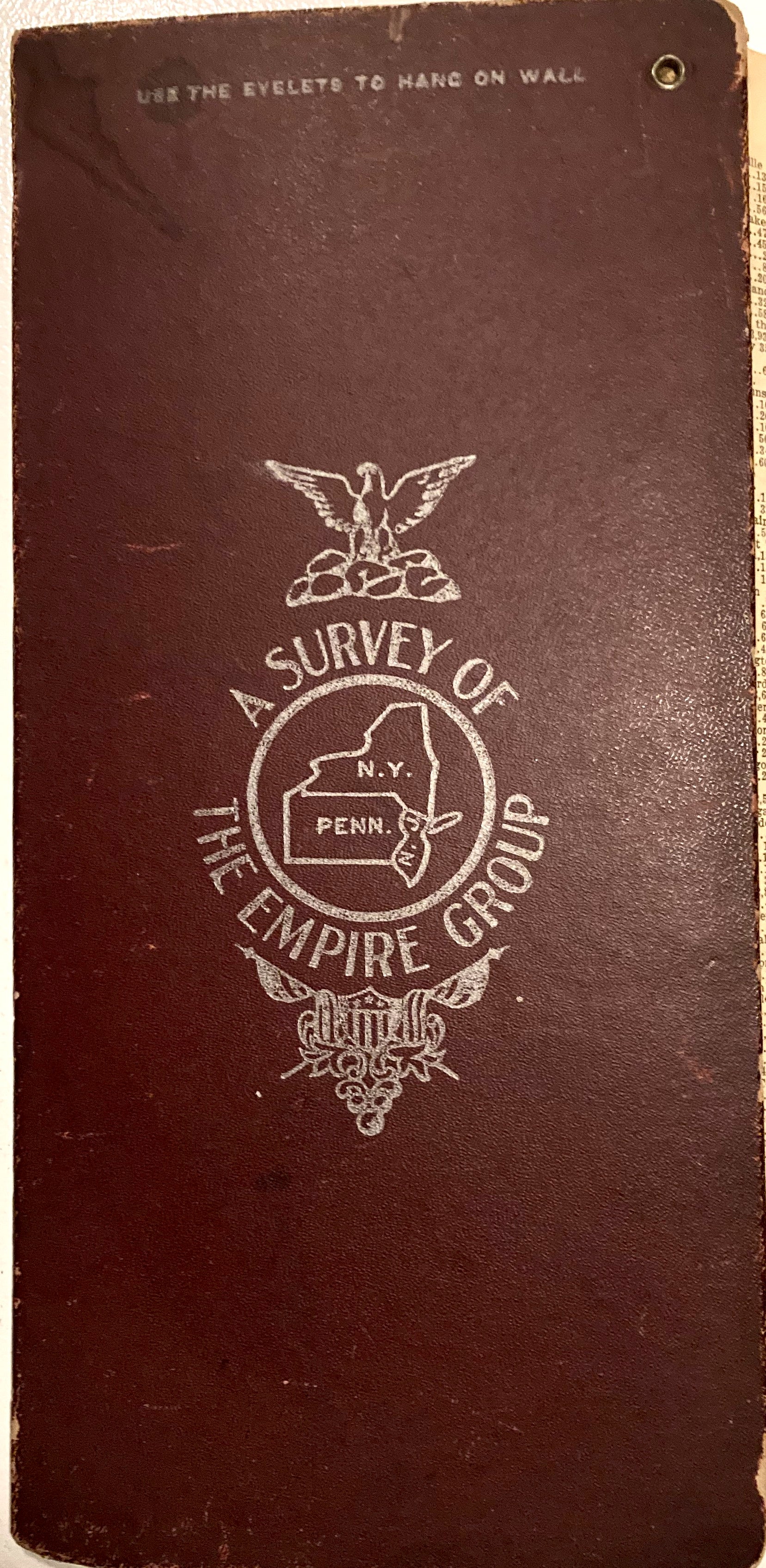 A Survey of the Empire Group 1915