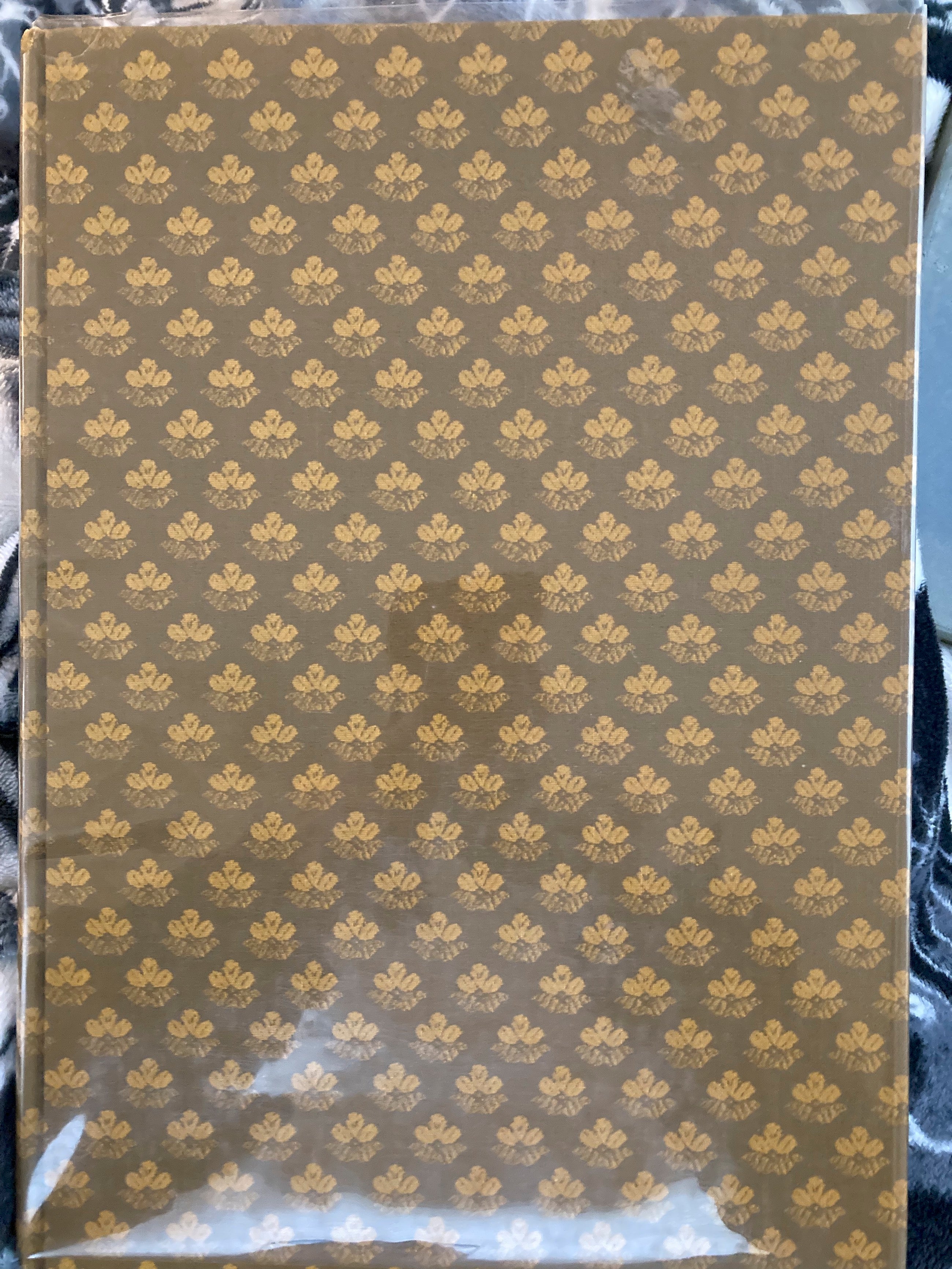 A Journal of Explorations Northward along  the coast from Monterey in the year 1775