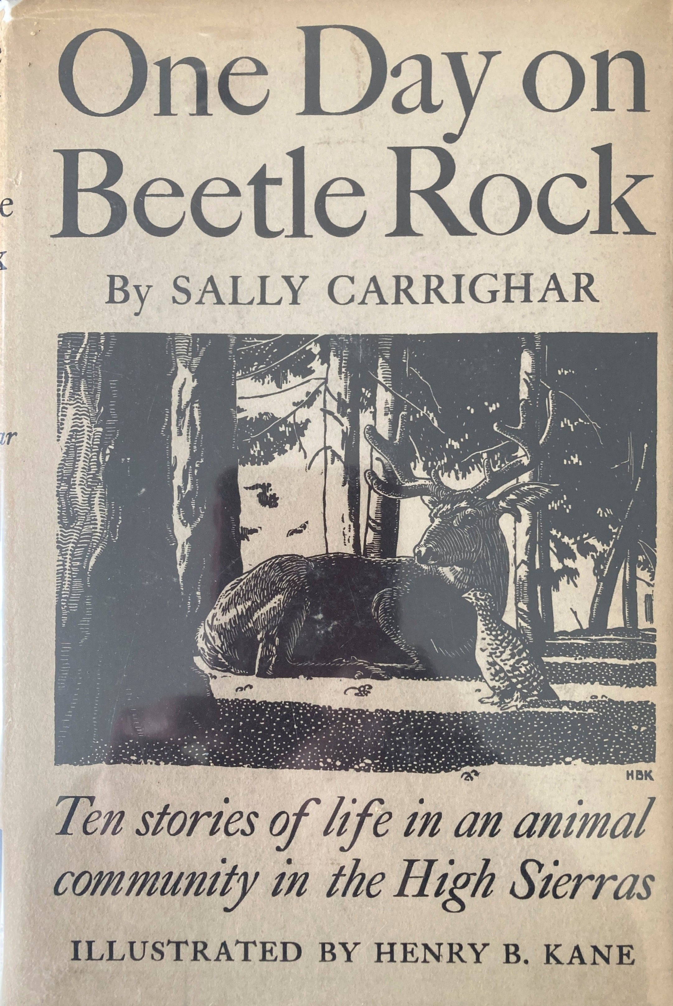 One Day on Beetle Rock, Ten stories of life  in an animal community in the High Sierras
