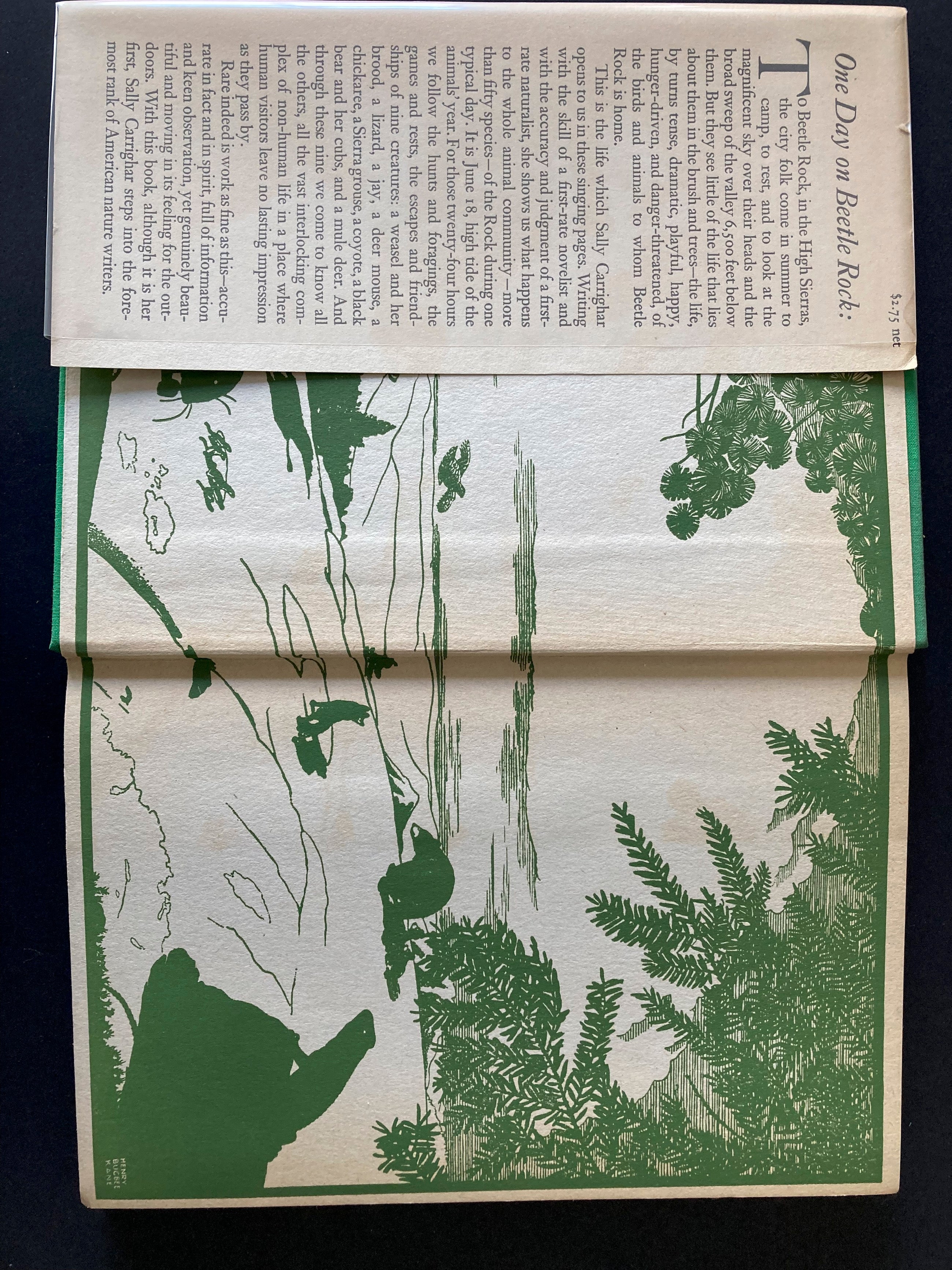 One Day on Beetle Rock, Ten stories of life  in an animal community in the High Sierras