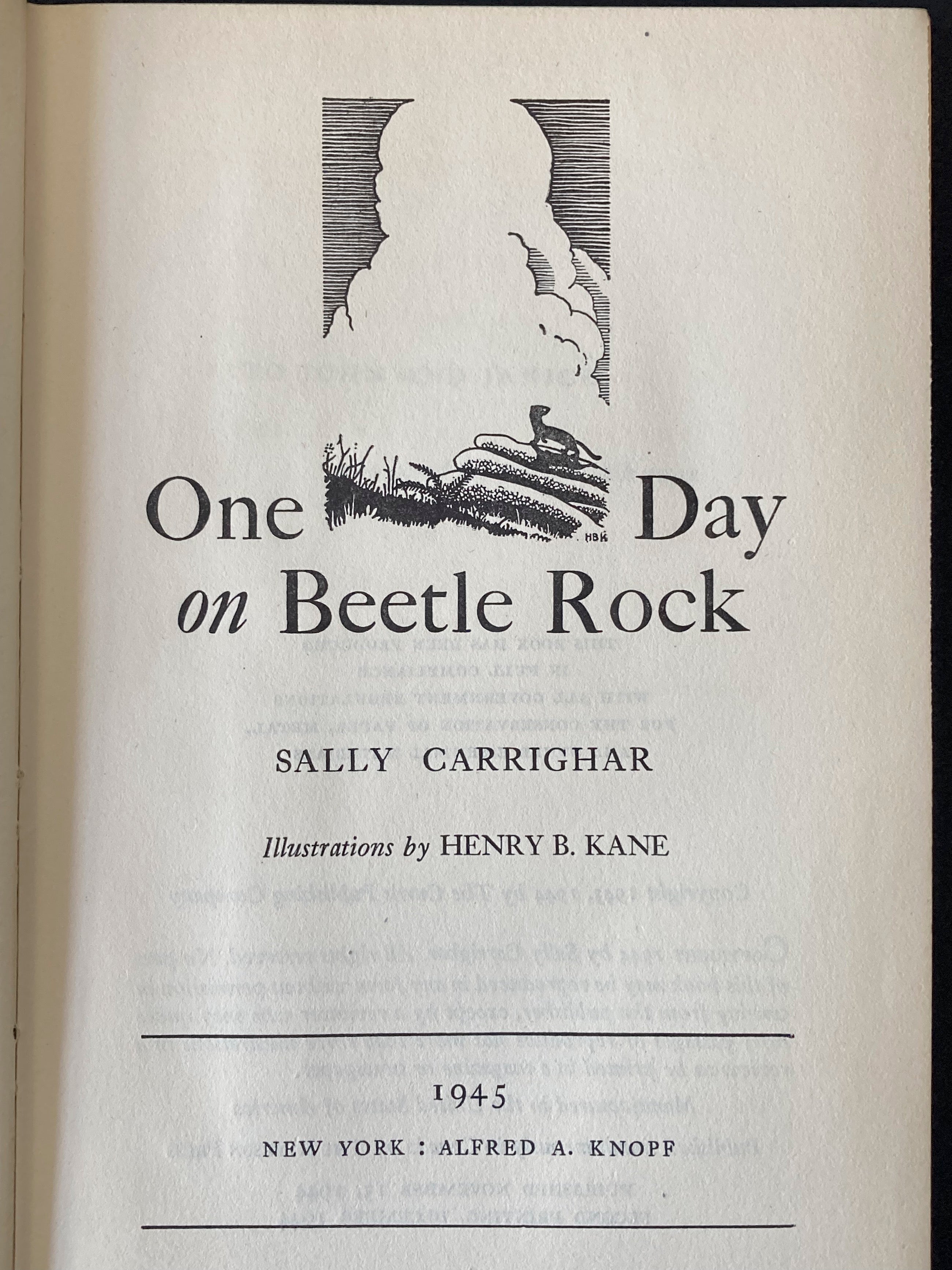 One Day on Beetle Rock, Ten stories of life  in an animal community in the High Sierras