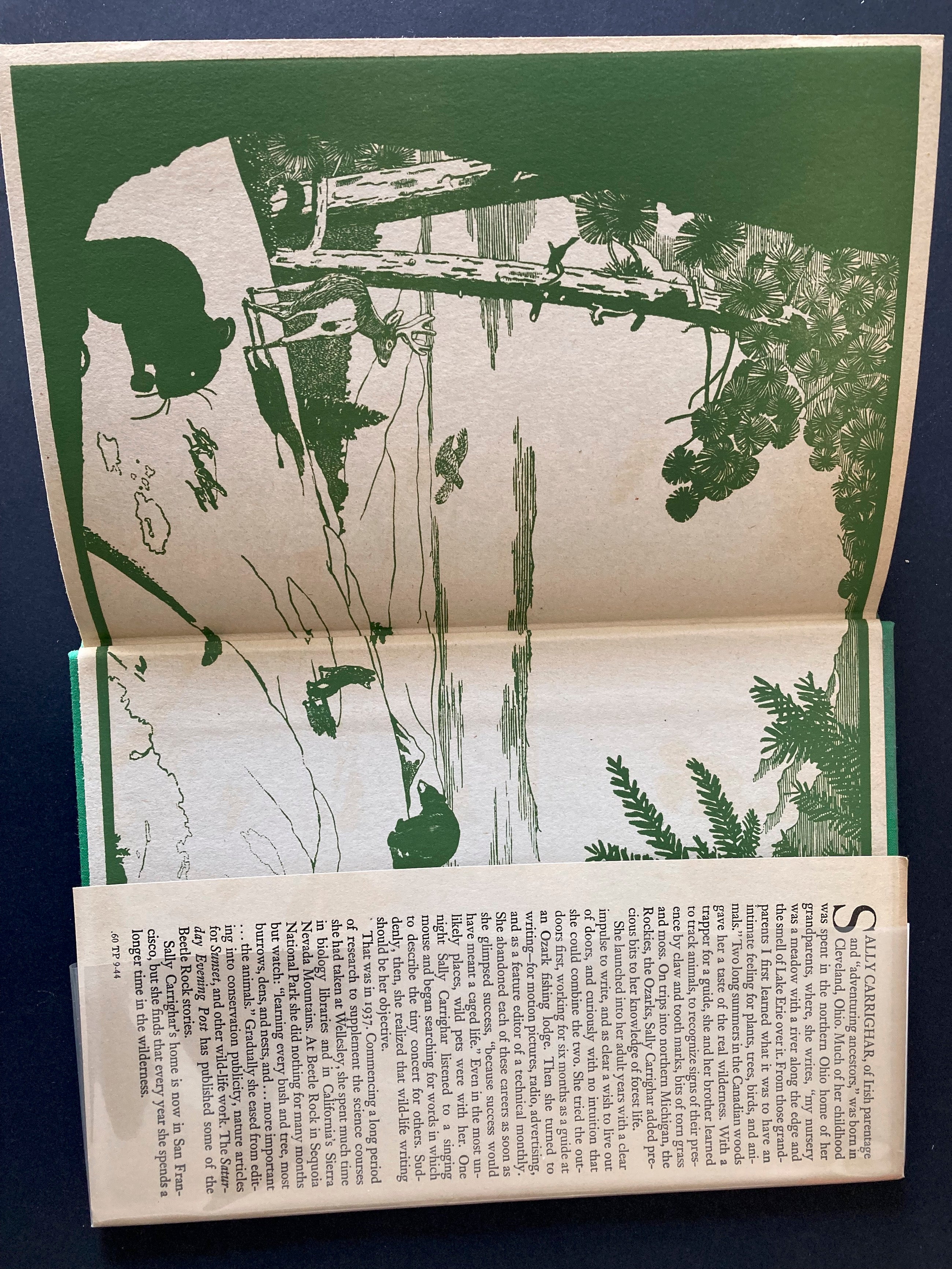 One Day on Beetle Rock, Ten stories of life  in an animal community in the High Sierras