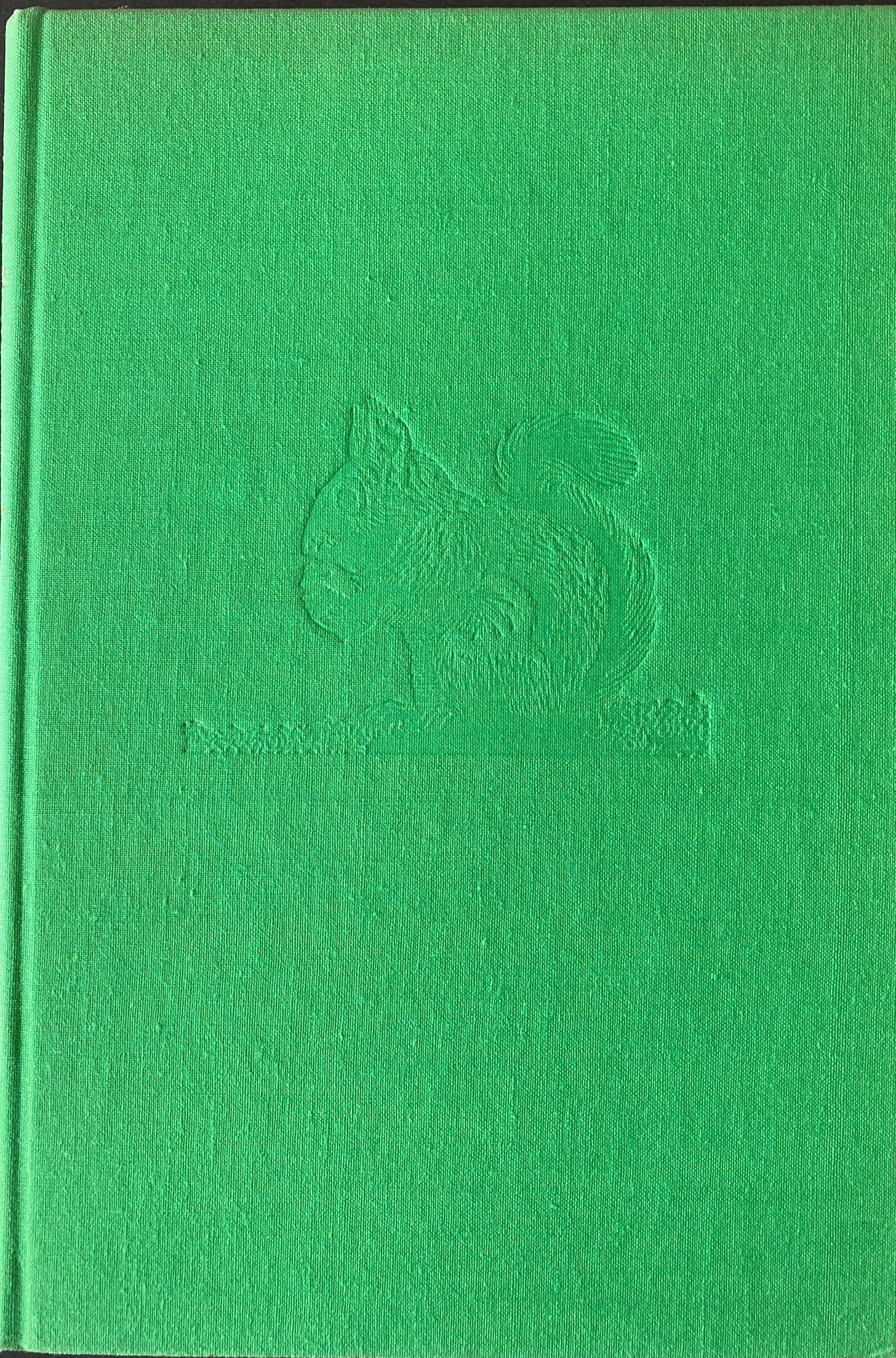 One Day on Beetle Rock, Ten stories of life  in an animal community in the High Sierras