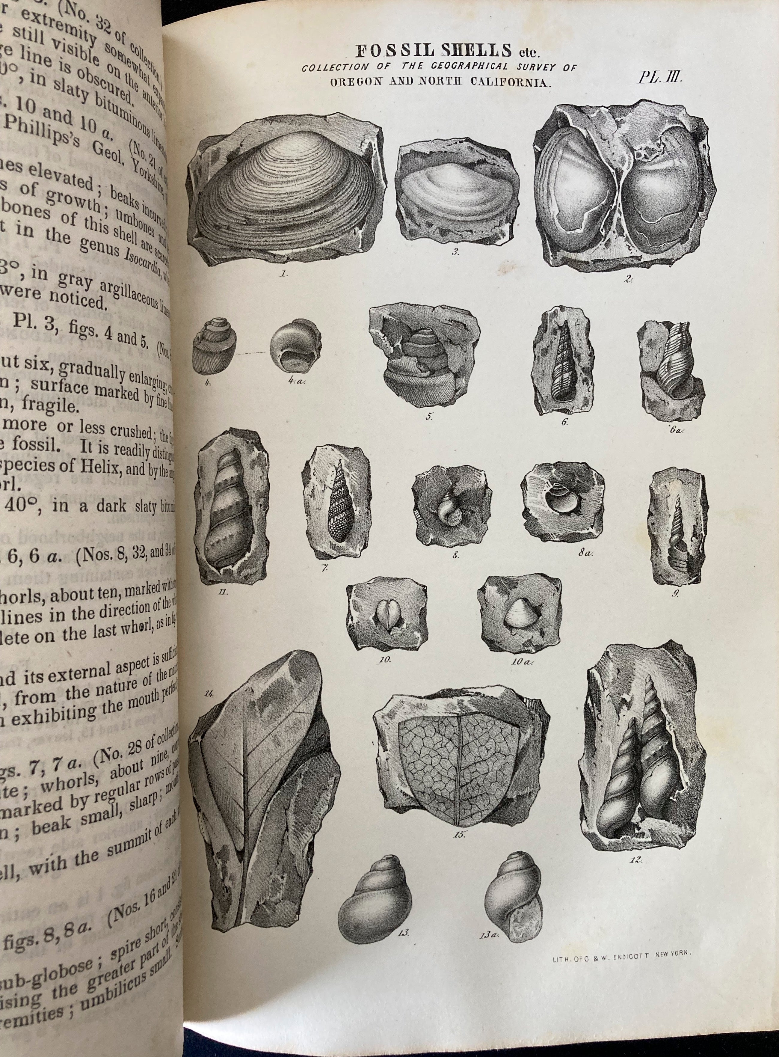 Report of the Exploring Expedition to The Rocky Mountains in the year 1842 and to Oregon and North California in the Years 1843-'44