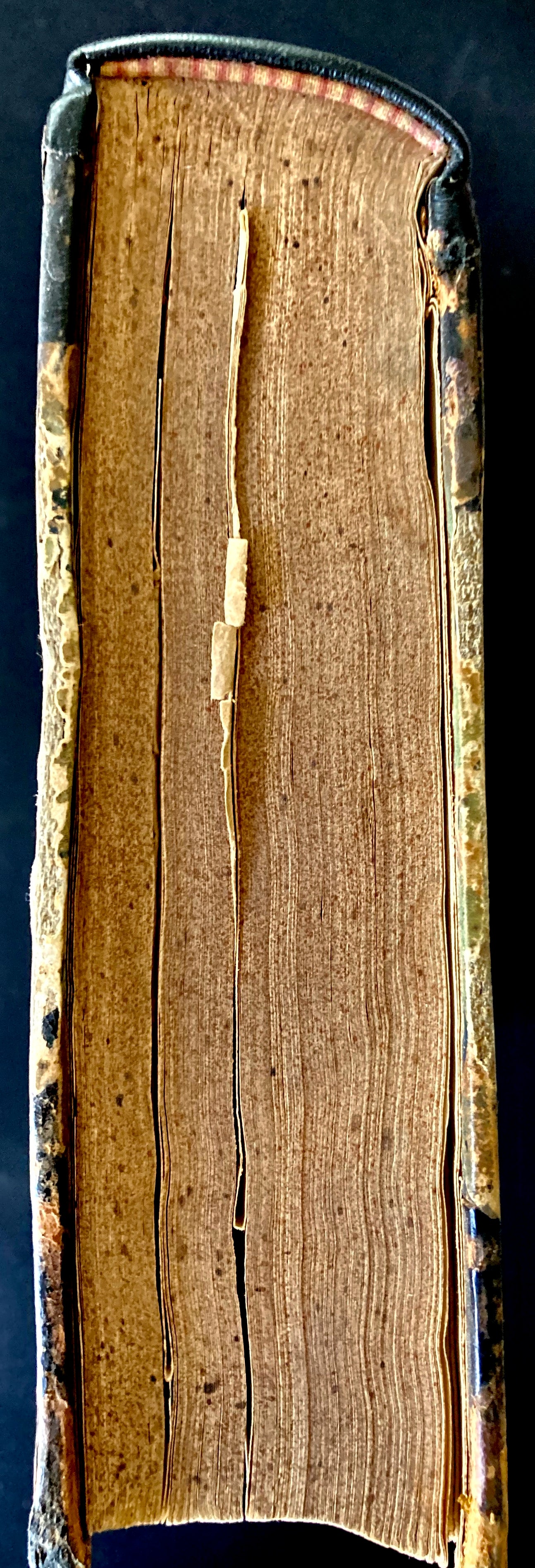 Report of the Exploring Expedition to The Rocky Mountains in the year 1842 and to Oregon and North California in the Years 1843-'44