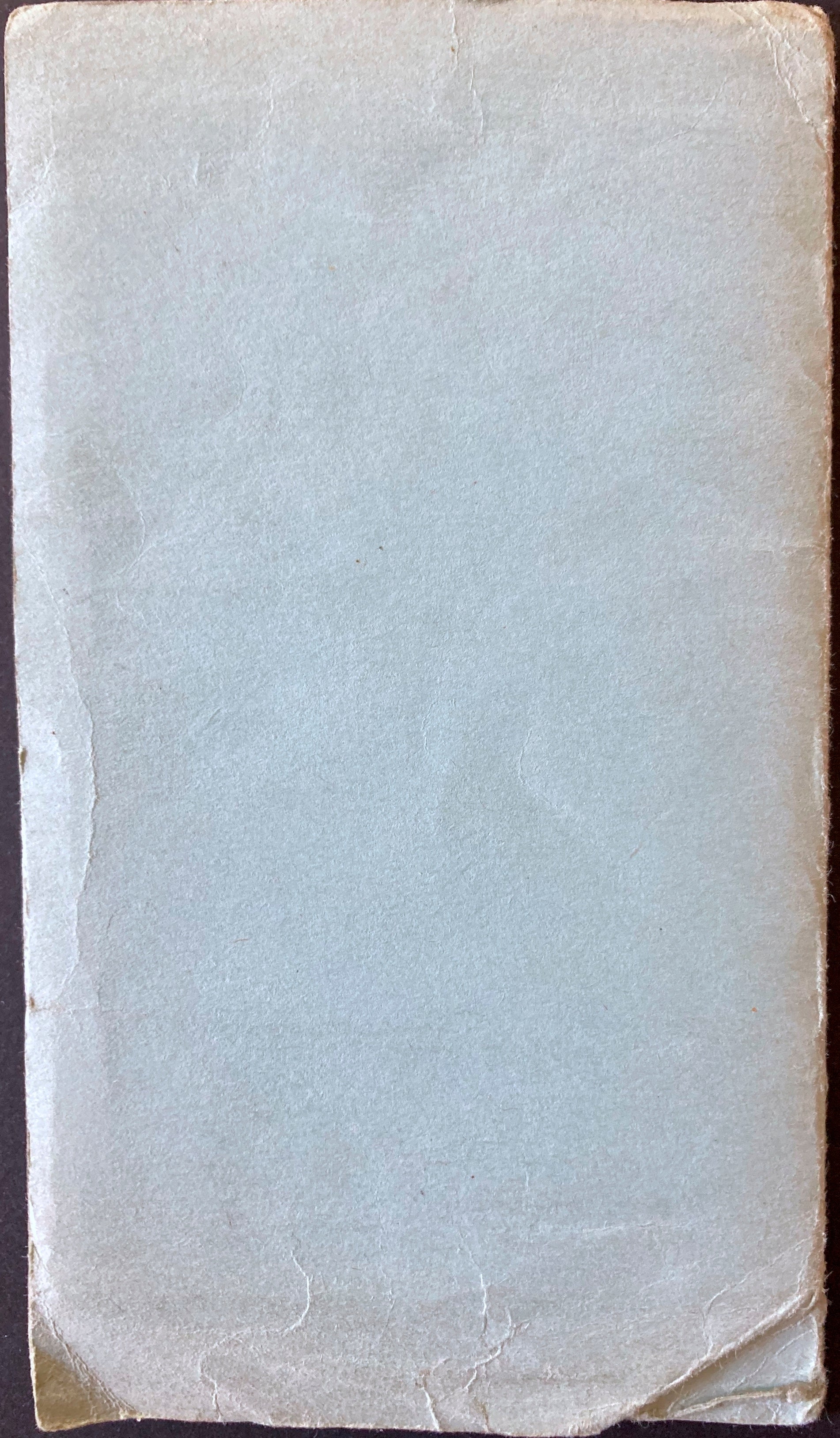 Early 1900 HOELSCHER's St Louis Tourist Map