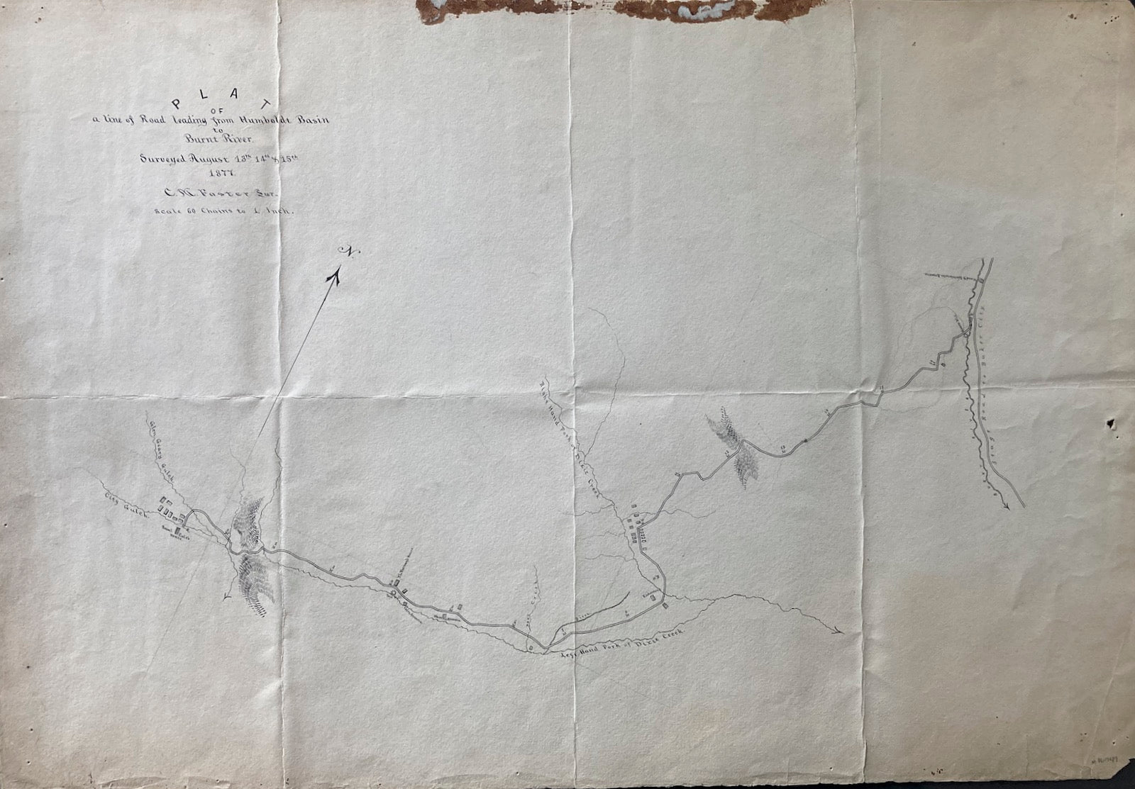1877 Plat of a line of road from Humboldt Basin to Burnt River Rd  Map C. M . Foster